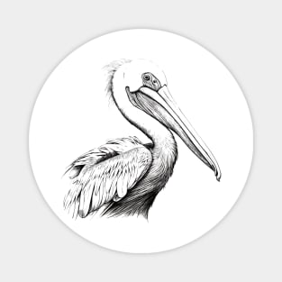 Pelican Magnet